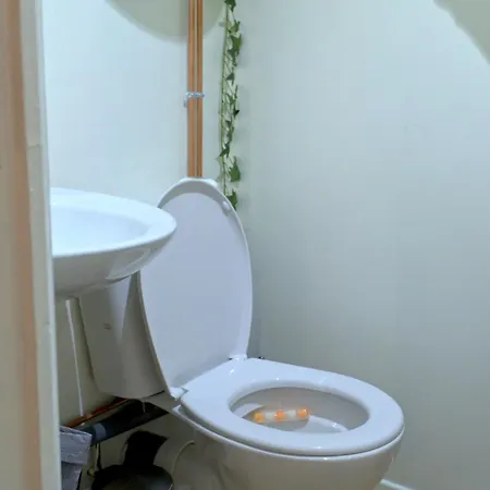 公寓 Little London Cozy En Centre 勒阿弗尔